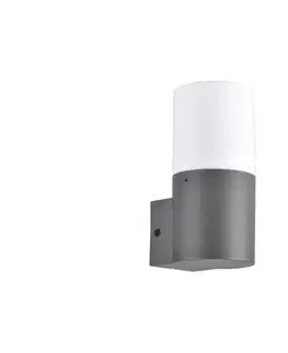 Svietidlá  Vonkajšie nástenné svietidlo DALLAS 1xE27/12W/230V IP44 antracit 315960
