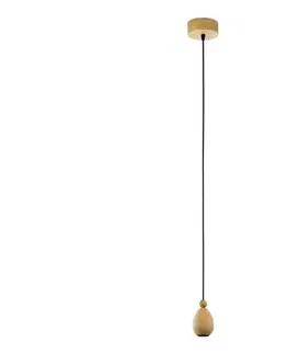 Svietidlá Eglo 32543 - Stropné svietidlo YORTH 1xE27/60W/230V dub 32543