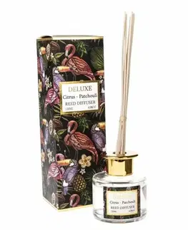 Arómaterapia Vonný difuzér DELUXE 120 ml, pačuli a citrus