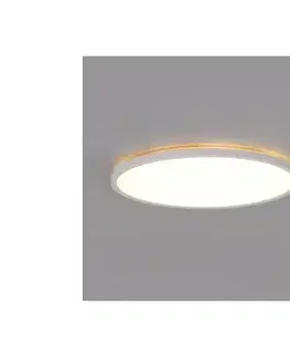 Svietidlá  LED kúpeľňové svietidlo NIVERA LED/18W/230V IP54 pr. 30 cm biele + DO 004104