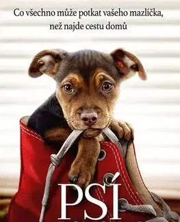 Romantická beletria Psí domov - W. Bruce Cameron