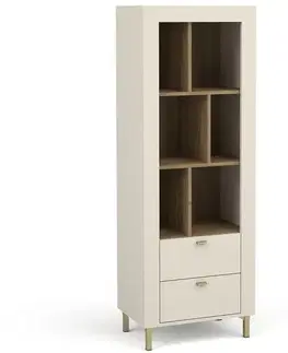 Vitríny a regály do obývačky Regál Mossa M04 2S dub whisky/cashmere