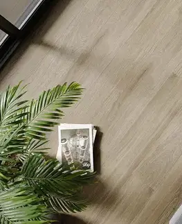 Falquon the floor Wood FALQUON THE FLOOR Wood Dub tuscon P6001 5G