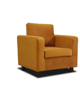 Kreslá Kreslo LUANA Tempo Kondela