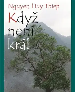 Romantická beletria Když není král - Nguyen Huy Thiep