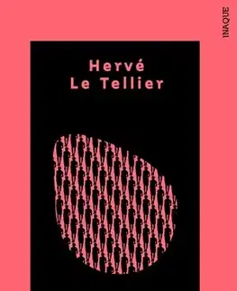 Detektívky, trilery, horory Anomália - Hervé Le Tellier