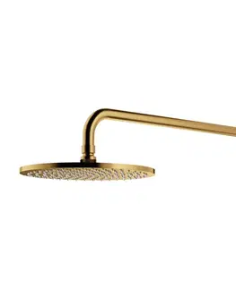 Sprchy a sprchové panely OMNIRES - SLIMLINE hlavová sprcha vrátane ramena, o25 cm zlatá kartáčovaná /GLB/ WGSET1GLB