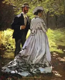 Romantická beletria Evropané - James Henry