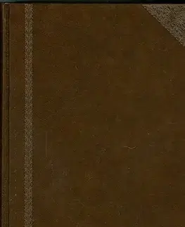 Literárna veda, jazykoveda Ottův slovník naučný X. - Kolektív autorov