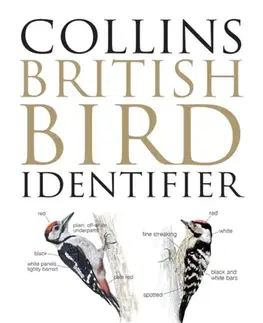 Vtáky, hydina Collins British Bird Identifier - Jeff Baker,Paul Stancliffe