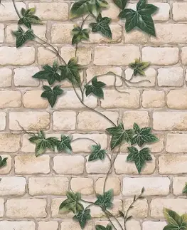 Dekorácie a bytové doplnky Tapeta 980434 papierová