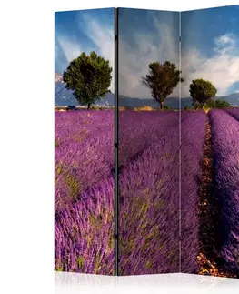 Paravány Paraván Lavender field in Provence, France Dekorhome