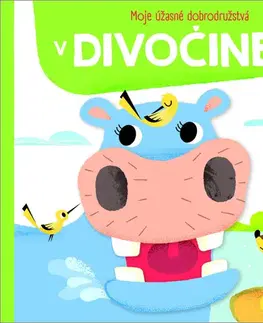 Leporelá, krabičky, puzzle knihy Moje úžasné dobrodružstvá: V divočine