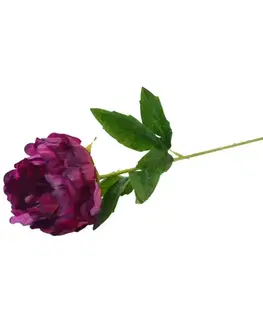 Záhradné dekorácie Pivonka 55 cm fialová
