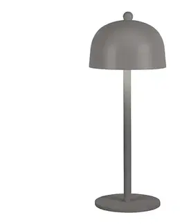 Lampy  LED stmievateľná dobíjacia stolná lampa LED/1W/5V 3000-6000K 1800 mAh sivá 7987