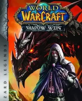 Manga World of WarCraft: Nexus Point -The Dragons of Outland, book 2 - Richard A. Knaak,Kim Jae-Hwan