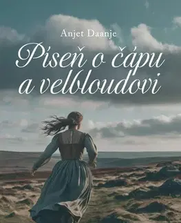 Historické romány Píseň o čápu a velbloudovi - Anjet Daanje