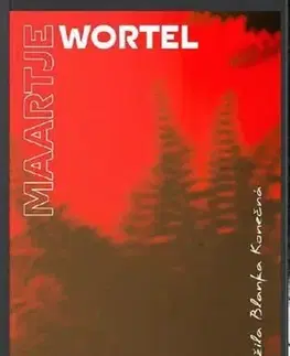 Svetová beletria Kemp - Maartje Wortel,Blanka Konečná