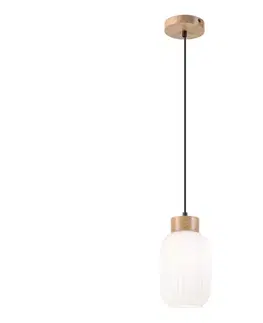 Svietidlá  Luster na lanku HARMONY 1xE27/15W/230V pr. 14 cm biela/dub LM - 1.258 / A