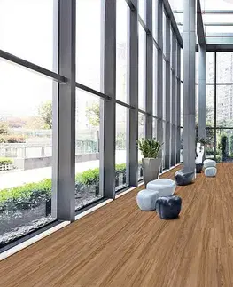 Vinyl hydro Eurowood Vinyl hydro Buk jadrový 46012/0001