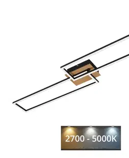 Svietidlá Brilo - LED Stmievateľný prisadený luster FRAME 2xLED/20W/230V 2700-5000 + DO 3145-014