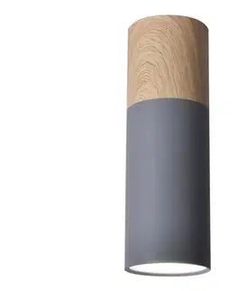 Svietidlá  Stropné svietidlo TUBA GU10/15W/230V 2284286