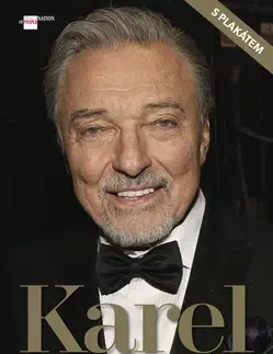 Umenie Karel žije dál - Dana Čermáková,Petr Čermák