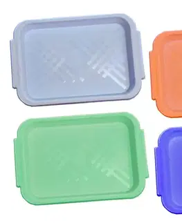 Podnosy a tácky MAKRO - Podnos Viki 23x15,5x3cm rôzne farby