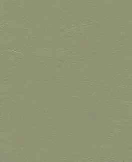 Marmoleum click FORBO Marmoleum click Rosemary green 333355 Lamely 300 × 300 mm