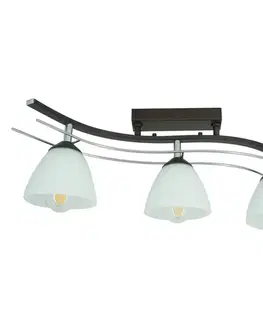 Lampy do obývačky Lampa Agat Plus 2338 LW3