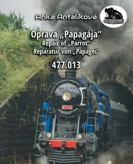 Hobby - ostatné Oprava „Papagája“ 477.013 - Anka Antalíková