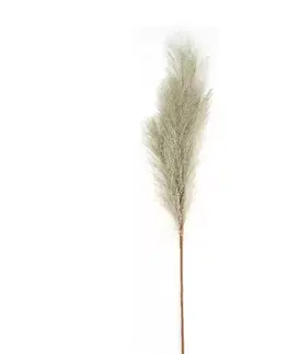 Záhradné dekorácie Umelá tráva Plume 77 cm