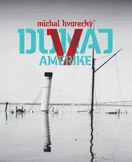 Romantická beletria Dunaj v Amerike - Michal Hvorecký