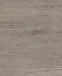 FLOOR FOREVER Authentic oak FLOOR FOREVER Authentic oak Dub šľachtický 5020