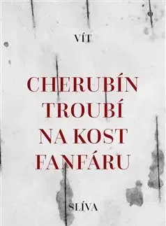 Česká poézia Cherubín troubí na kost fanfáru - Vít Slíva