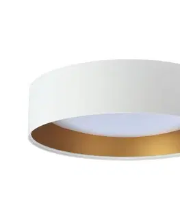 Svietidlá  LED stropné svietidlo GALAXY LED/24W/230V biela/zlatá FG-BS0003