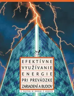 Pre vysoké školy Efektívne využívanie energie pri prevádzke zariadení a budov - Kolektív autorov