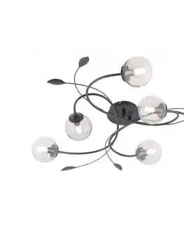 Svietidlá Paul Neuhaus 6737-18 - LED Prisadený luster WIDOW 6xG9/3W/230V 6737-18