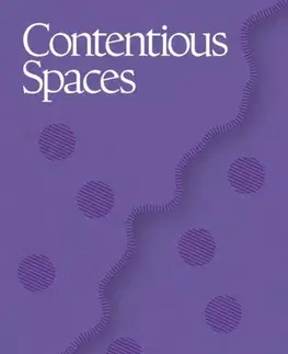 Beletria Contentious Spaces - Rosaleen McDonagh