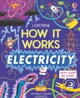 Veda a technika How It Works: Electricity - Victoria M. Williams,Miguel Bustos