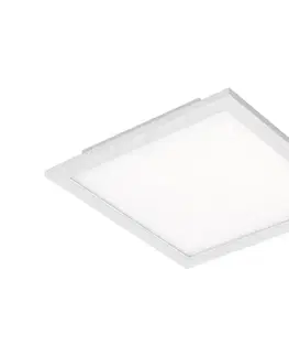 Svietidlá Briloner 7191-016 - LED Stropné svietidlo SIMPLE LED/12W/230V 7191-016