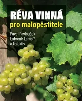 Úžitková záhrada Réva vinná pro malopěstitele, 2. vydání - Pavel Pavloušek,Lubomír Lampíř