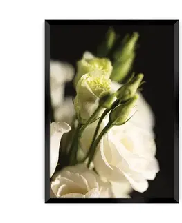 Obrazy Plagát Dark Flowers I