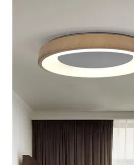 Svietidlá Brilagi - stmievateľné LED svietidlo DORIA LED/60W/230V 3000-6500K priemer 60 cm + diaľkové ovládanie WO800-OEM10-60