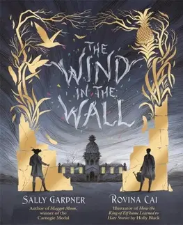 Young adults The Wind in the Wall - Sally Gardner