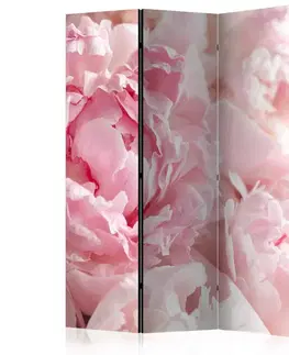 Paravány Paraván Sweet Peonies Dekorhome