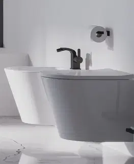Doplnky do kúpeľne OMNIRES - DARLING WC kefa čierna /BLH/ DA70620BL