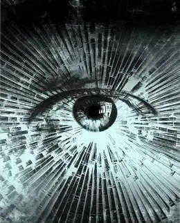 Cudzojazyčná literatúra Shattered Minds - Laura Lam