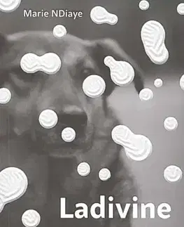 Svetová beletria Ladivine - Marie Ndiaye