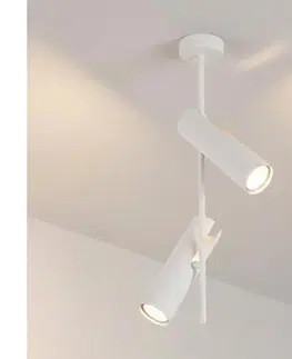 Svietidlá BRILAGI - Luster na tyči BRANCH 2xGU10/30W/230V biela WO-N10-02-WHT-OEM